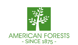 AMERICAN FOREST